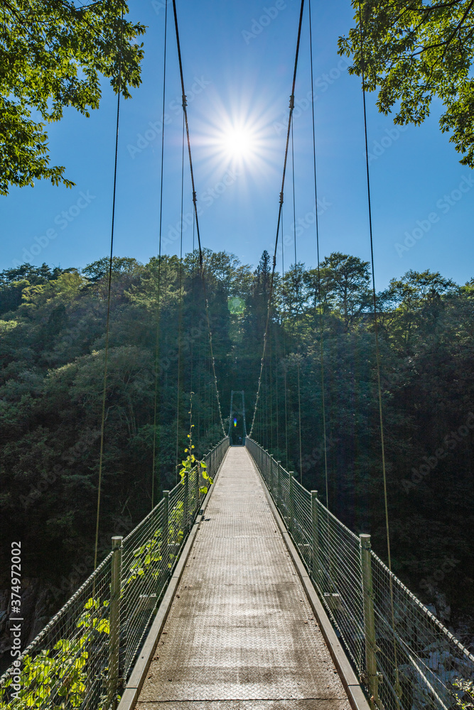 Obraz premium 天竜峡