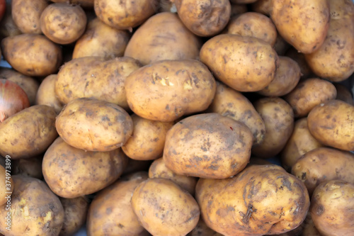 Fresh potato tubers are sold