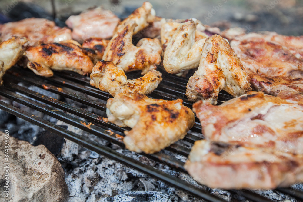 Grilled Meat , summer picnic , cooking food outdoor Grilled Meat , summer picnic , cooking food outdoor