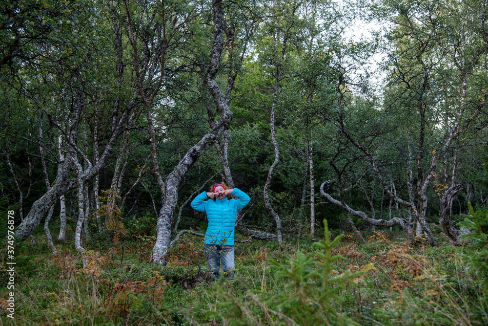 woman in a blue jacket against the background of the curves of Karelian birches woman in a blue jacket against the background of the curves of Karelian birches