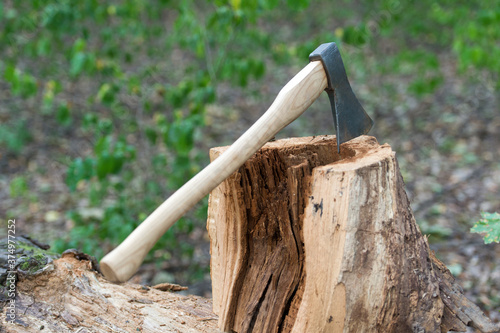 axe stuck into wooden tree stump, forest