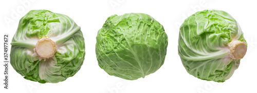 Fresh head of cabbage from three different sides of the view on a white background with clipping path