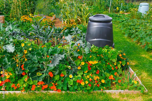 A colourful allotment garden with flowers, vegetables and a compost bin