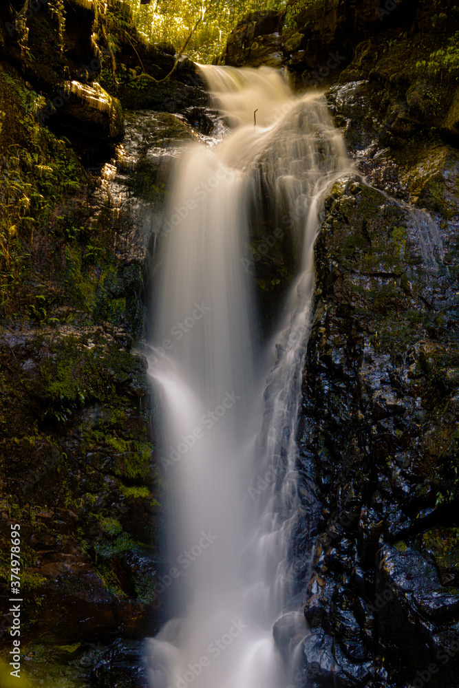 Obraz premium waterfall in the forest