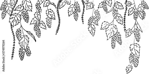 Graphic hop design. Vector seamless border drawn in engraving technique. Coloring book page.