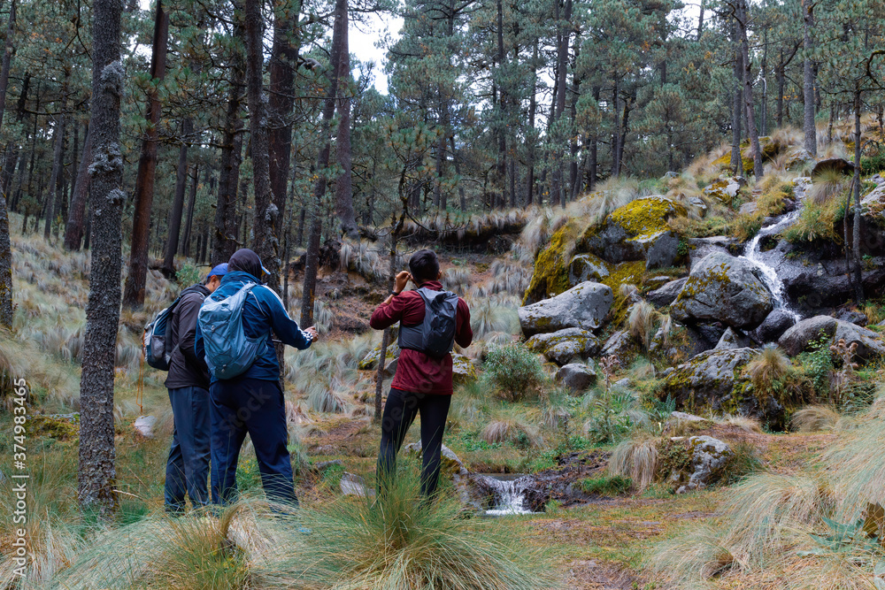 A group of friends who talk while walking through the woods with backpacks. They wear masks to protect them from the corona virus. A group of friends who talk while walking through the woods with backpacks. They wear masks to protect them from the corona virus.