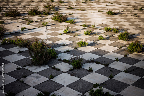 shrubs growing through checkered floor