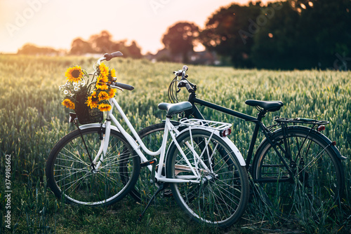 Vintage framed womens bicycle with sunflowers in basket and mens black bike are standing in the field. Romance date or love story concept © manuta