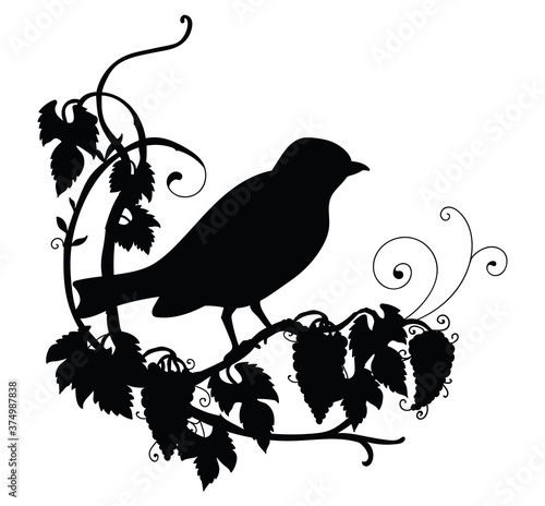 Vector black silhouette birdie and flower composition
