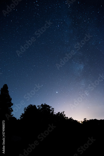 Starry night sky in forest | Night photography | Milky way celestial