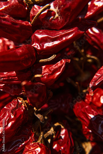 Closeup shot of bundle of red hot chilli peppers drying, hanging down from the ceiling in famous pepper house in Tihany, Hungary.