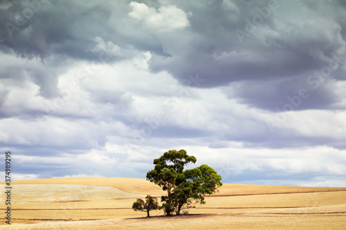 Standing alone photo