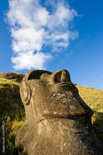 South America, Chile, Rapa Nui, Easter Island, giant monolithic stone Maoi statue at Rano Raraku photo