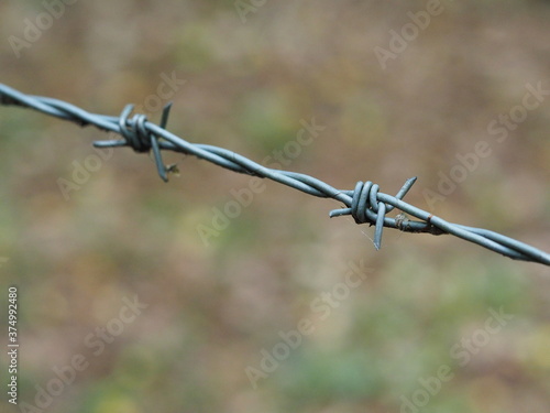 Close up photo of barbed wire with a blurred woodland background