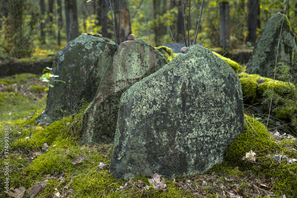 Old Jewish cemetery in the forest. The cemetery is located in Poland. There are inscriptions in Yiddish on the stones. Old Jewish cemetery in the forest. The cemetery is located in Poland. There are inscriptions in Yiddish on the stones.