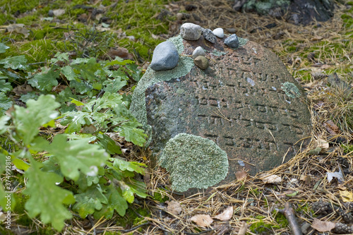 Old Jewish cemetery in the forest. The cemetery is located in Poland. There are inscriptions in Yiddish on the stones.