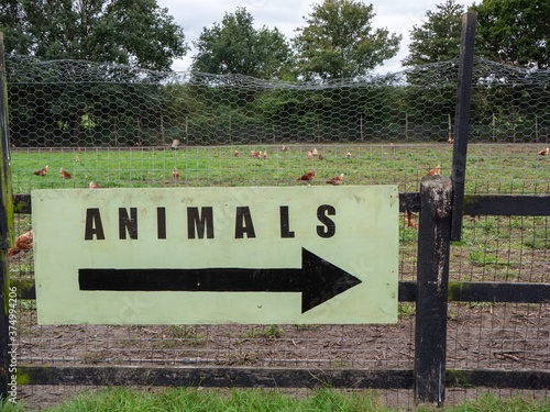 animals sign on the farm