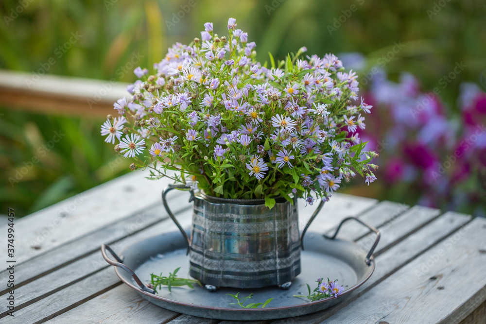 Symphyotrichum novi-belgii beautiful delicate flowers in an old vase in the open air in the garden on the table.