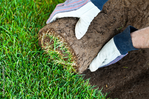 Laying Sod photo