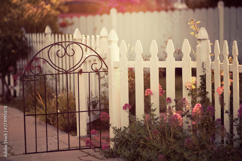Dreamy sunlit garden with white picket fence and decorative gate photo