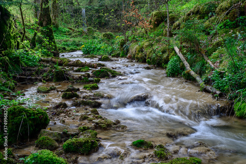 Small creek inside forest in spring at Linn photo