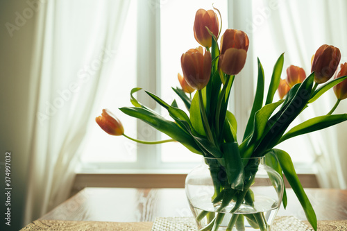 Bouquet of orange tulips, backlit by window