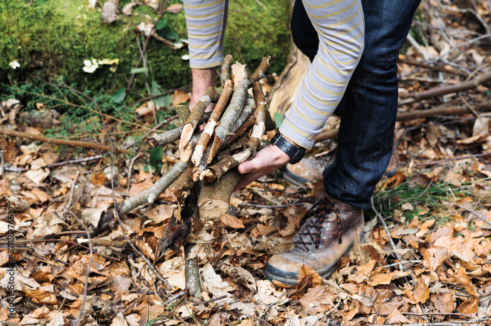 Man collecting firewood for a campfire in a wood Man collecting firewood for a campfire in a wood