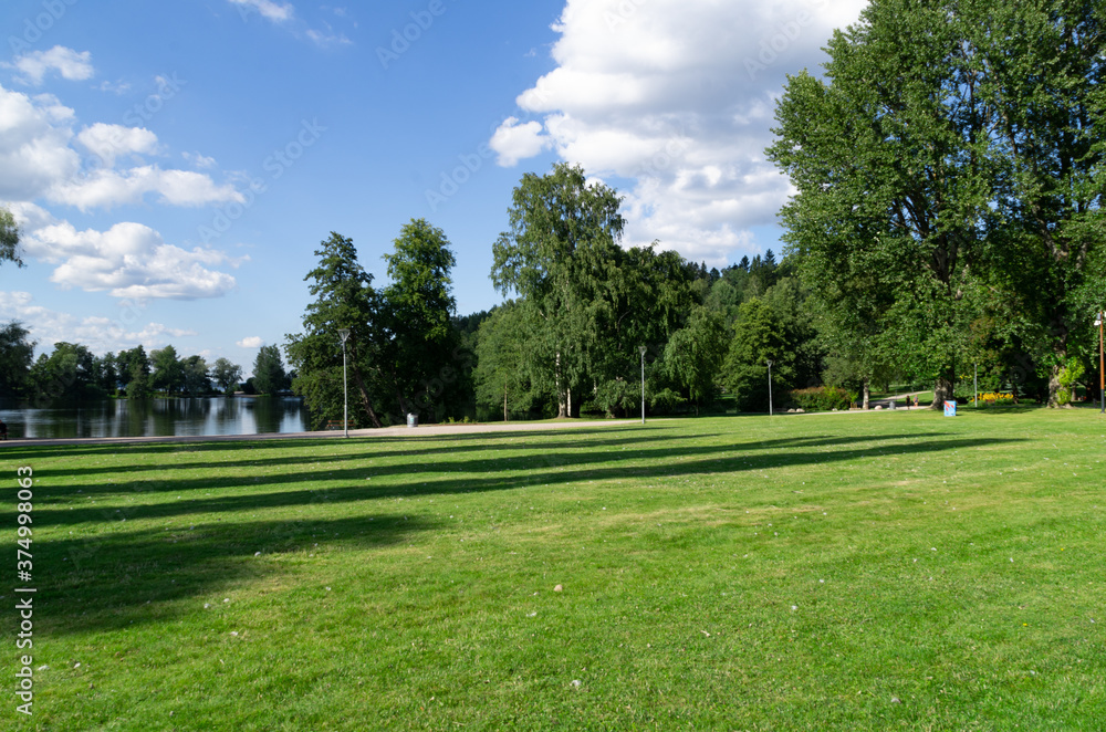 Obraz premium trees in the park