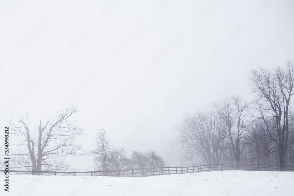 Thick fog in a rural landscape in the winter Thick fog in a rural landscape in the winter