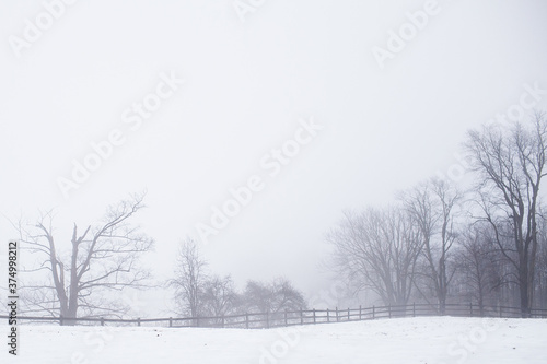 Thick fog in a rural landscape in the winter