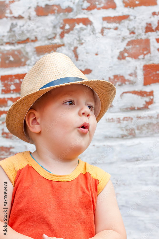 Portrait of a boy in a hat. A child poses in a beautiful hat. Portrait of a boy in a hat. A child poses in a beautiful hat.