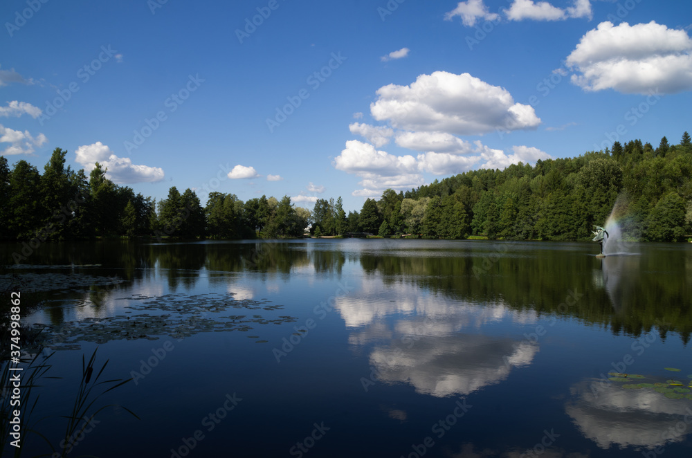 Fototapeta premium reflection of trees in lake