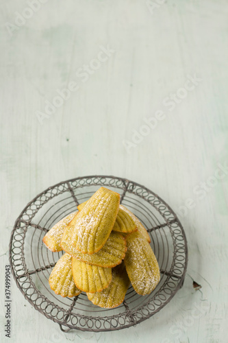 Pistachio madeleines on cooling wrack photo