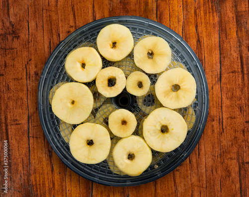 Apple slices drying on a food dehydrator photo