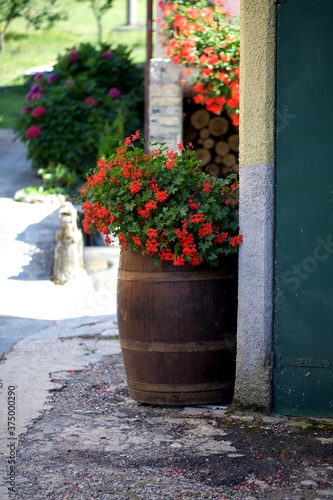 Corner of italian narrow street decorated with flowers photo