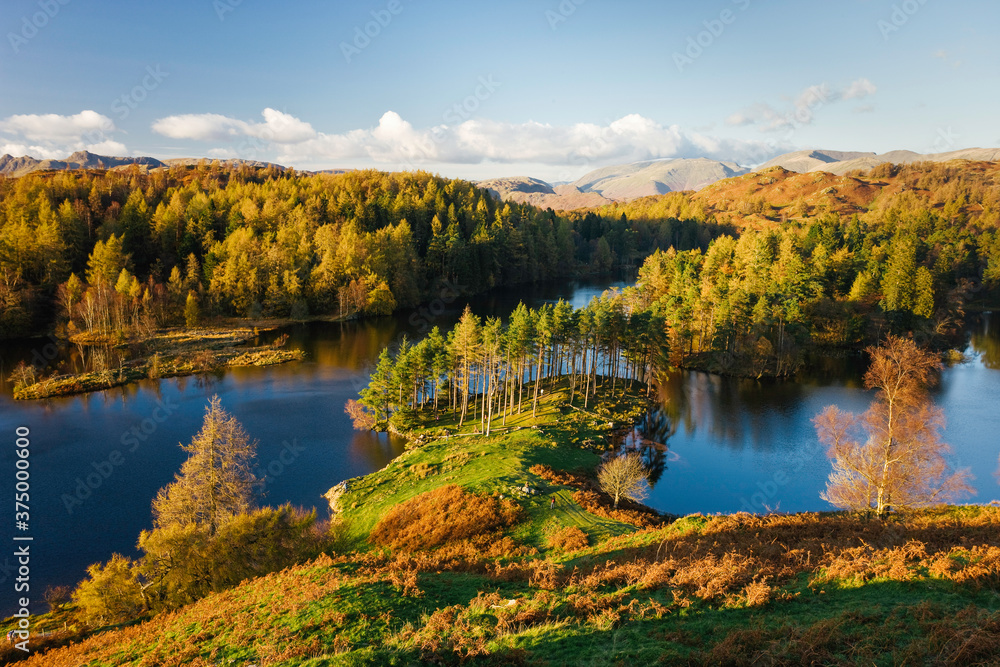 Autumn colours at Tarn Hows nearr Hawkshead, Lake District, Cumbria, England, UK Autumn colours at Tarn Hows nearr Hawkshead, Lake District, Cumbria, England, UK