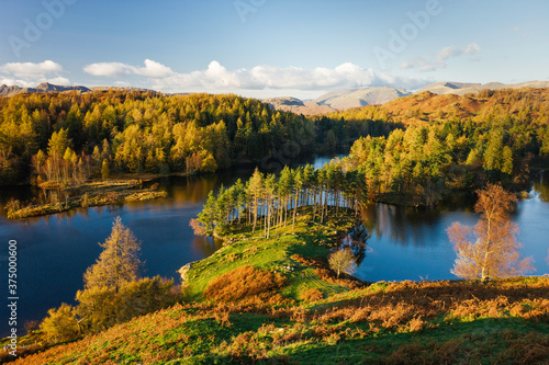 Autumn colours at Tarn Hows nearr Hawkshead, Lake District, Cumbria, England, UK