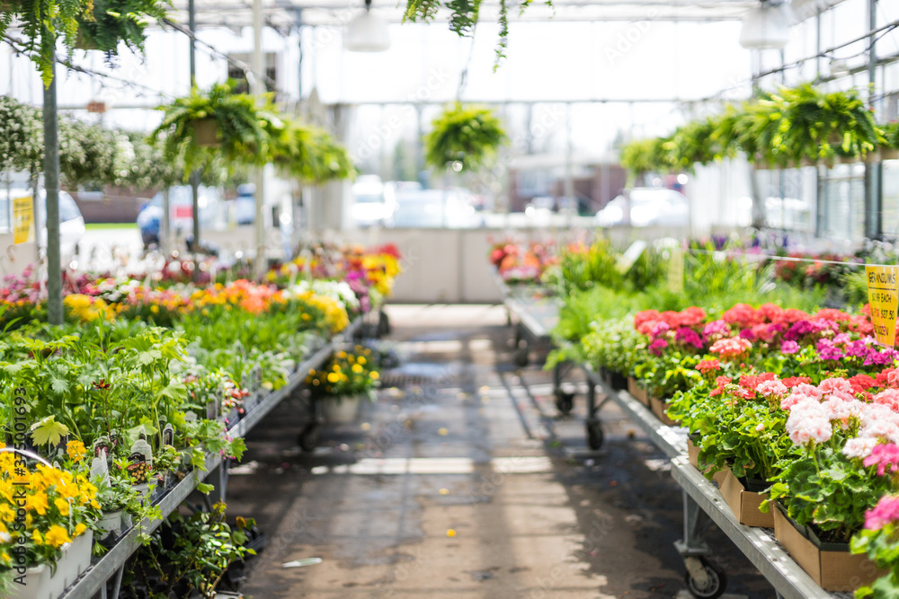 Nursery in the Spring Time Preparing for Summer