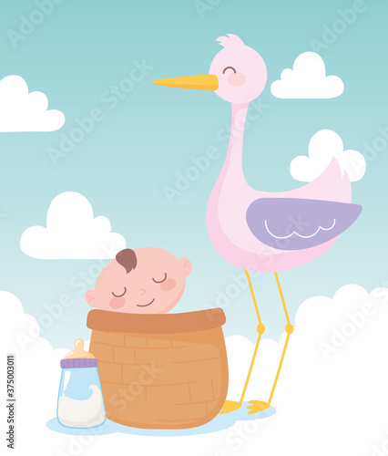 baby shower, stork and little boy in basket, celebration welcome newborn