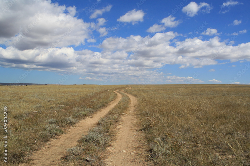 steppe road under the clouds