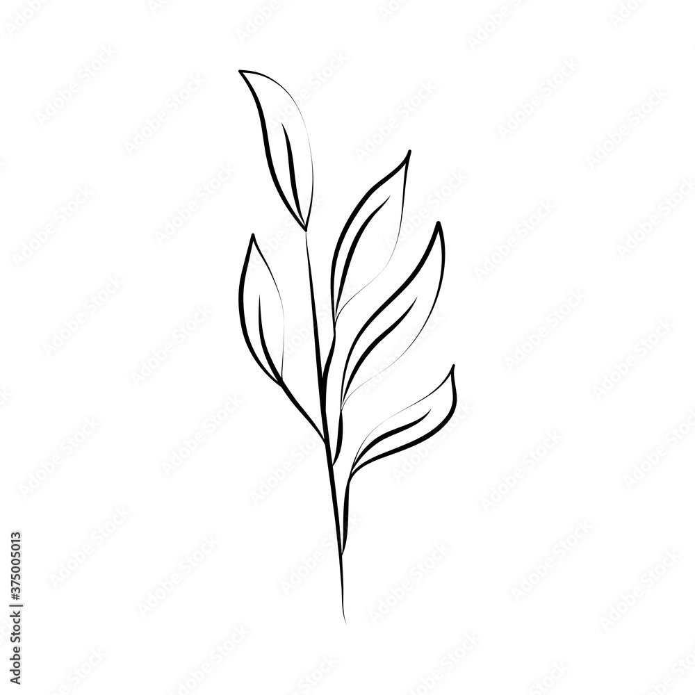 minimalist tattoo floral botanic line art herb and leaves