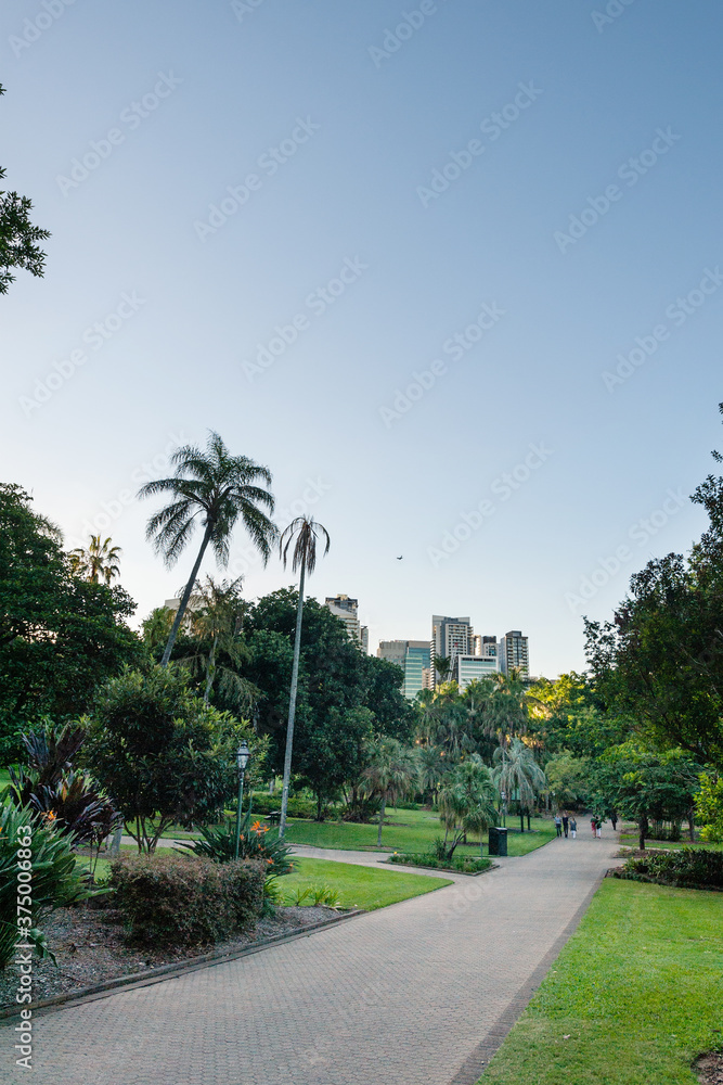 a glimpse of highrises from a city parkland a glimpse of highrises from a city parkland