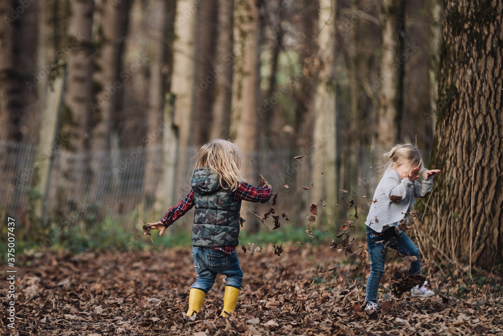 little boy and girl throwing around with foliage in a forest little boy and girl throwing around with foliage in a forest
