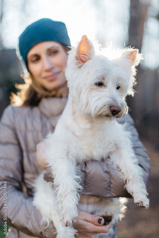A beautiful woman holding a small white dog A beautiful woman holding a small white dog