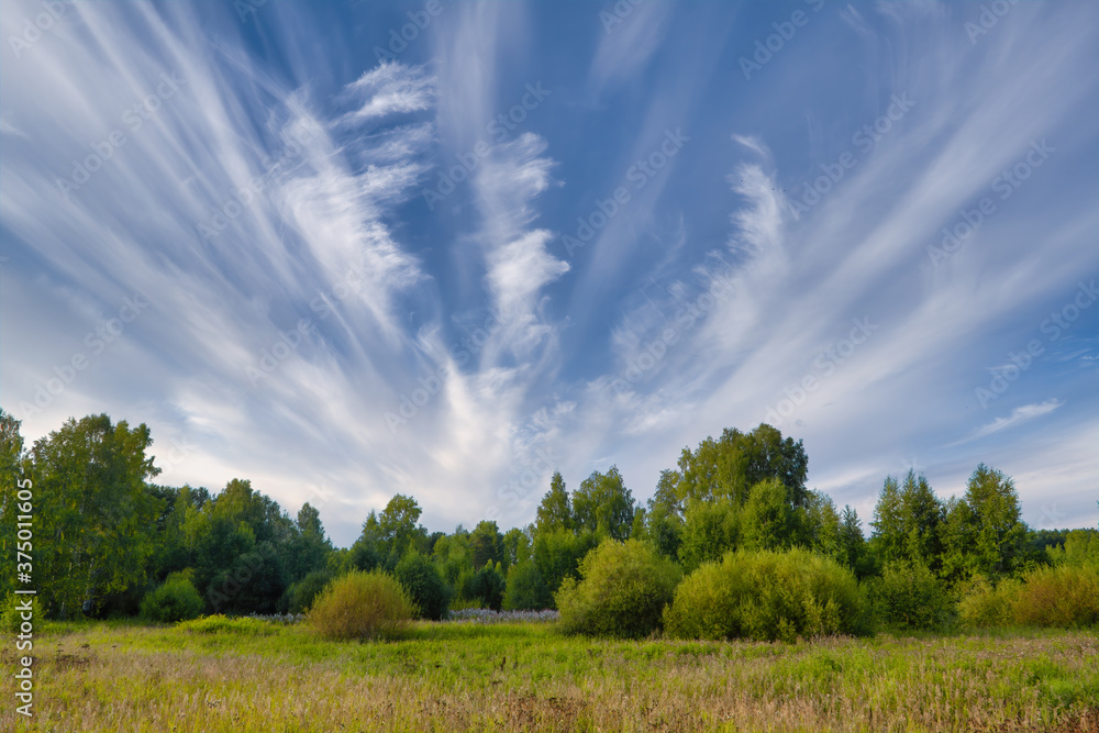 Summer landscape green meadow on a background of forest and blue sky. Summer landscape green meadow on a background of forest and blue sky.