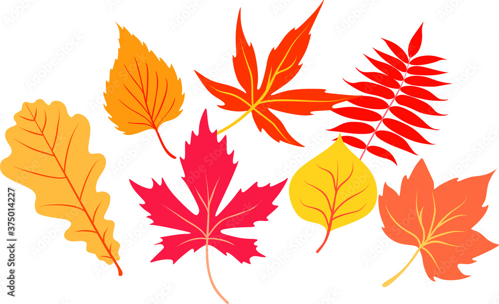 Obraz premium autumn background logo template vector illustration. Autumn leaves set isolated on white background. Simple cartoon flat style.