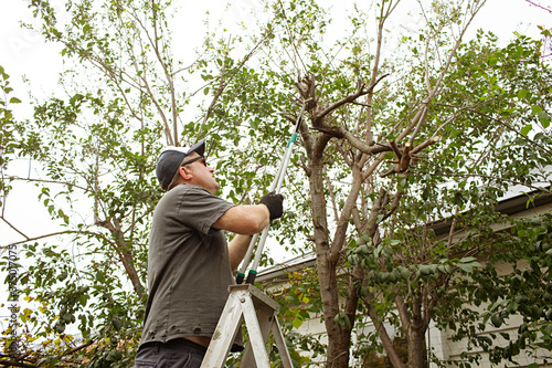 Middle age man on a ladder in the garden doing work