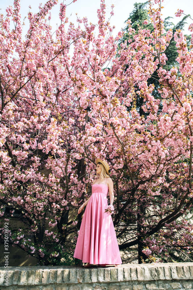 Young girl in a dress stands under cherry blossom tree Stock Photo ...