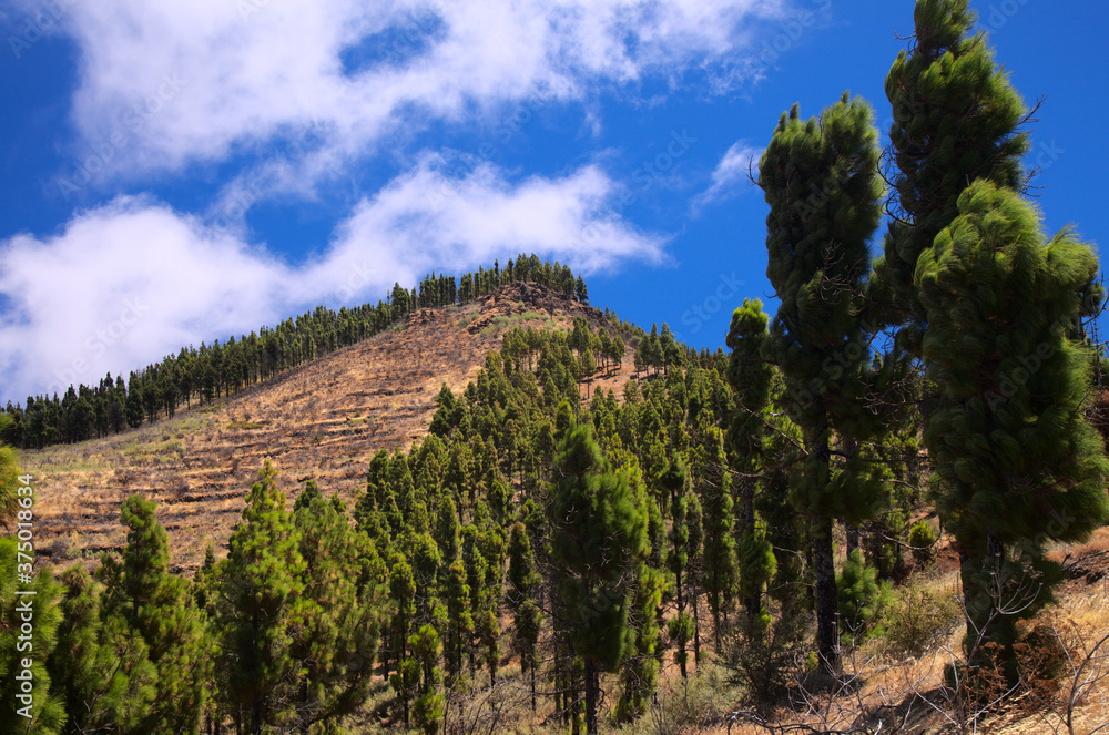 Gran Canaria, landscape of the central part of the island, Las Cumbres, ie The Summits Gran Canaria, landscape of the central part of the island, Las Cumbres, ie The Summits
