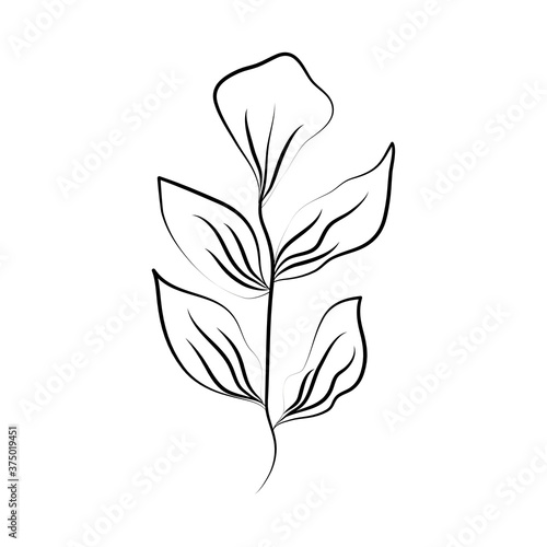 minimalist tattoo leaves foliage herb line art